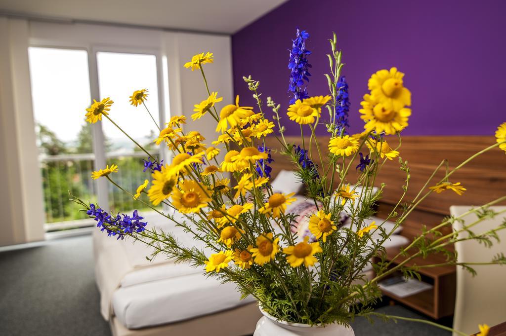 Amethysthotel Mantler Maissau Exteriér fotografie